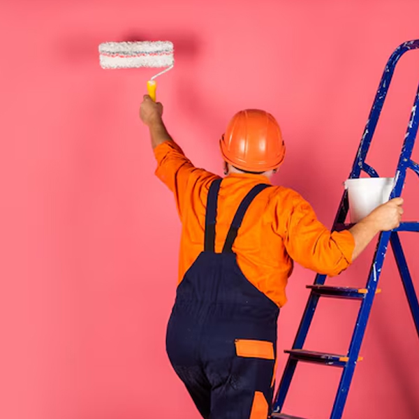 Brisbane Exterior Wall Painting Service